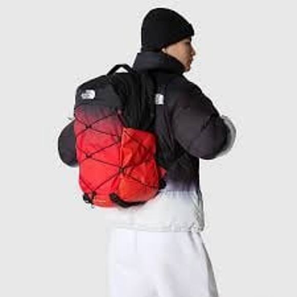 NWT❤️The North Face Borealis Backpack main image 9